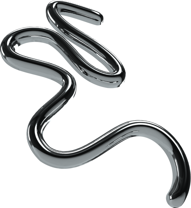 3D Silver Chrome Shape Simple Squiggle Blob